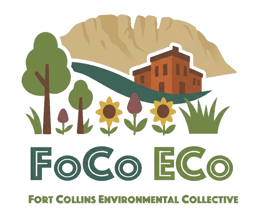 FoCo ECo landscape illustration