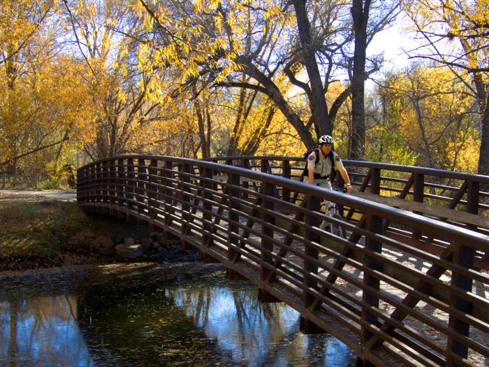 Cyclist crossing a wooden bridge surrounded by fall trees