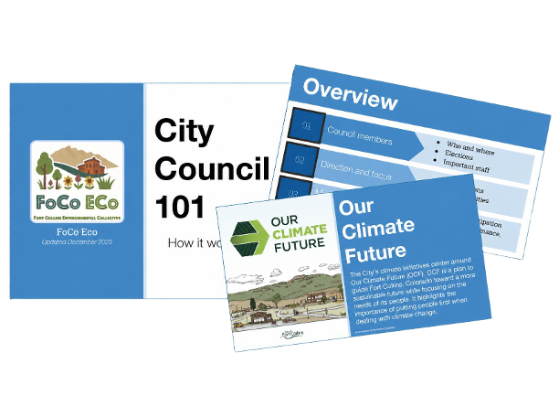 City Council 101 Training